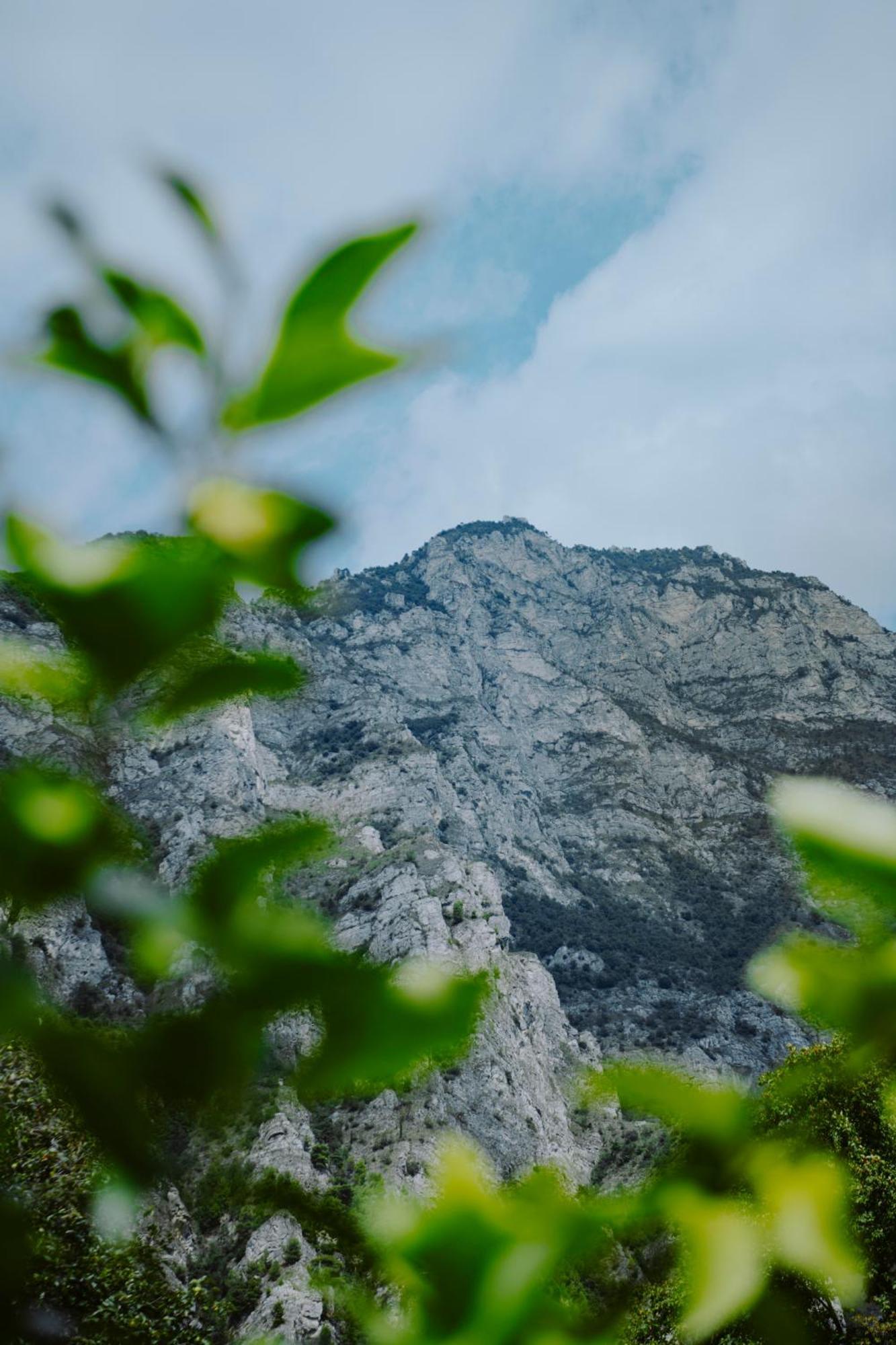 Hotel Limone ليمونِ سول غاردا المظهر الخارجي الصورة